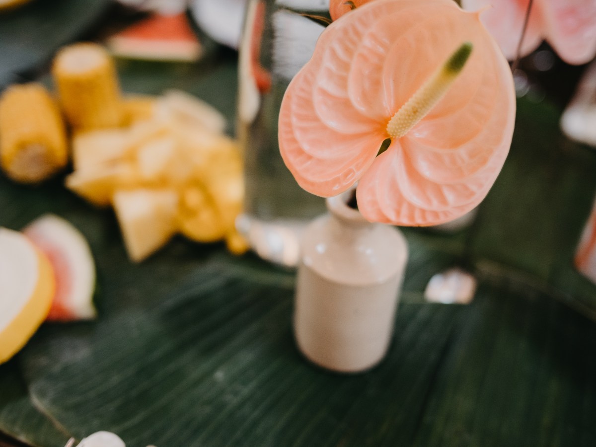 A Filipino inspired Wyresdale Park wedding with Pink and Green details.